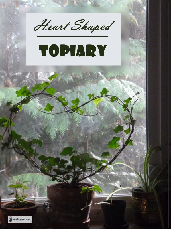 Heart Shaped Topiary ivy, terracotta pots, and wire