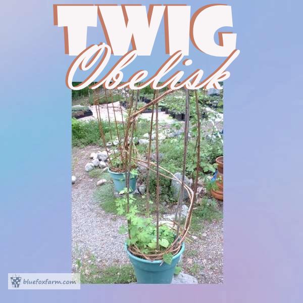 Twig Obelisk delicate vine support for your garden