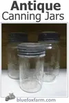 Antique Canning Jars are not just beautiful, they are useful too; vintage glass at its best for rustic garden decor and rustic crafts...