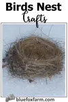 birds-nest-crafts-600x900.jpg