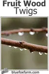 Fruit Wood Twigs are one of those things that just keeps on giving; apple, pear and peach trees need pruning every year; take those twigs and make them into crafts