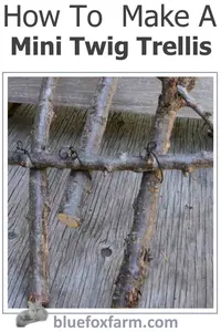 how-to-make-a-mini-twig-trellis-600x900.jpg