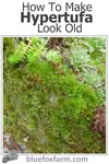 A rustic garden art tutorial...How to Make Hypertufa Look Old