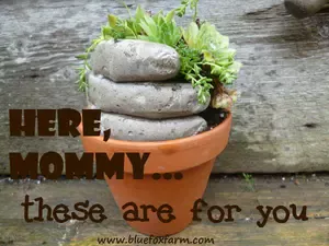 hypertufa-hand-here-mommy-these-are-for-you600.jpg