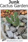 junk-cactus-garden-600x900.jpg