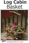 Create a Log Cabin Basket out of interesting twigs and roots; great for planting trailing annuals, moss or succulents