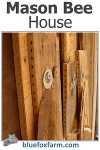mason-bee-house-600x900.jpg