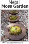 More Garden Art From Trash - Make a Metal Moss Garden from rusty brake parts...