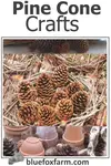 pine-cone-crafts-600x900.jpg