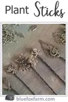 Plant Sticks - fancy embellishments for non-flowering plants...