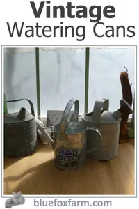 vintage-watering-cans2-600x900.jpg
