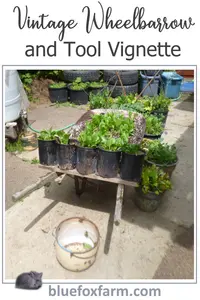 vintage-wheelbarrow-and-tool-vignette600x900.jpg