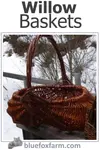 Willow Baskets have been around for centuries; artisans have enjoyed using the beautiful and versatile willows for many rustic crafts, to provide useful household objects...