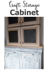 craft-storage-cabinet600x900.jpg