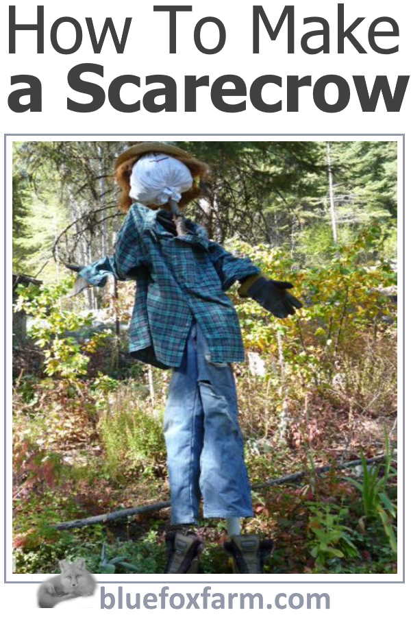 how-to-make-a-scarecrow-600x900.jpg