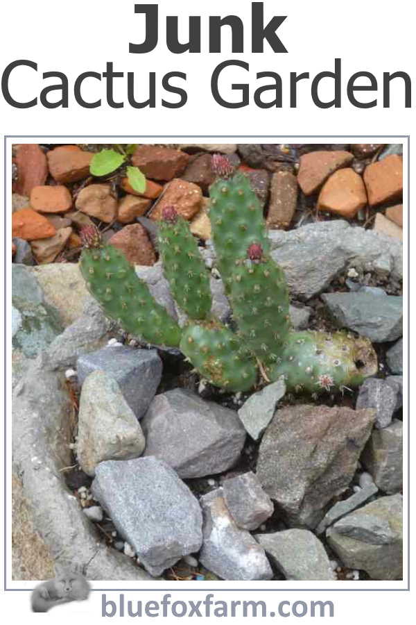 junk-cactus-garden-600x900.jpg