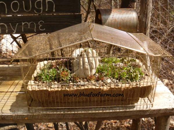 Hypertufa Hand in a planter