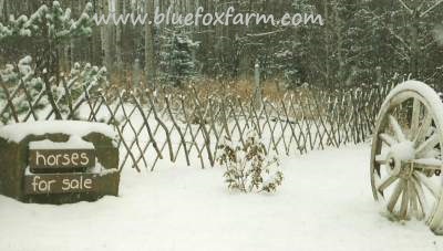 How to build a Lattice Fence - go there now...