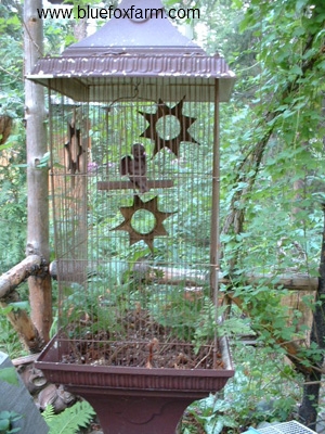 rustic bird cage