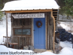 Rustic Garden Shed Eggporeum