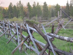 Chilcotin Russel Fence