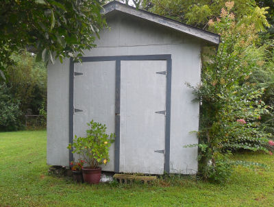 Help The Gardening Cook fix up her poor little shed...
