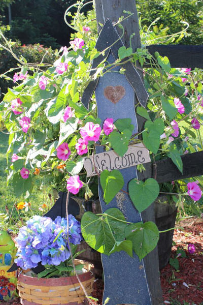 The Gardening Cook Welcomes you...