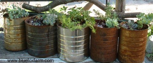 Tin Can Planters...