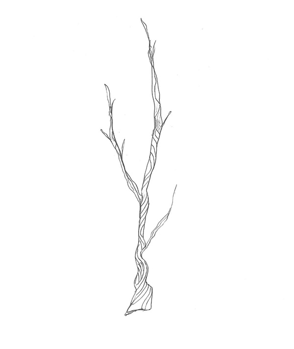 How about drawing with a twig   barbara luel