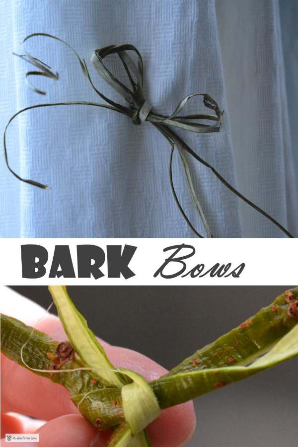 Bark Bows