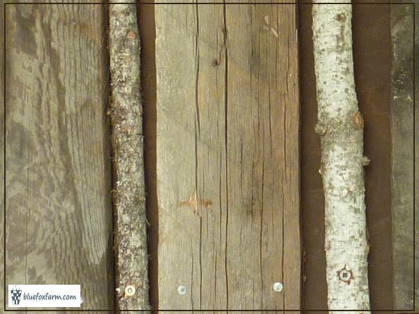 Barnboard alternates with Douglas Fir twigs