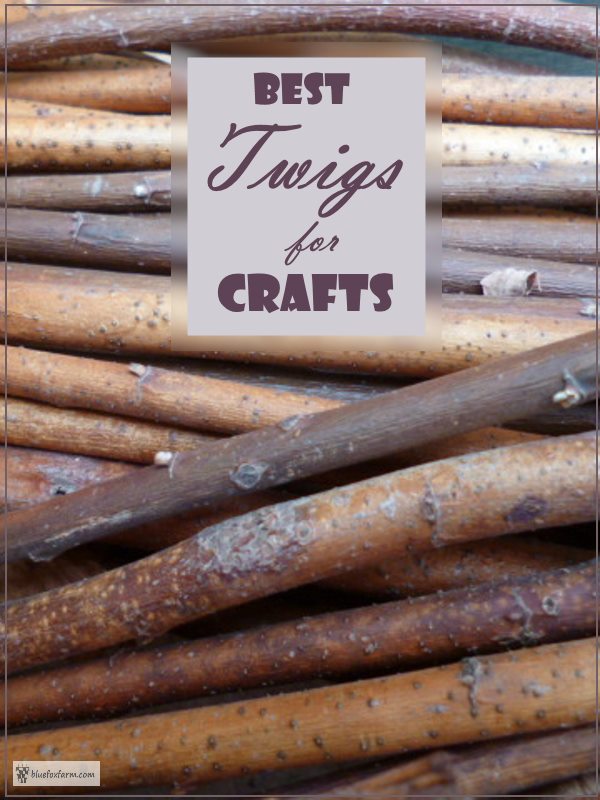 Best Twigs for Crafts choose the right species of tree for your crafts