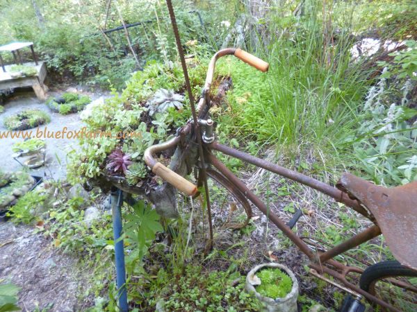 Hidden by ornamental grasses and drought tolerant plantings