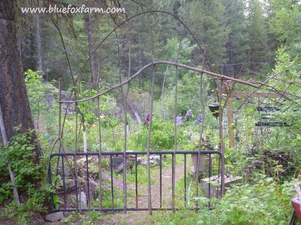 See more about this Rustic Twig Gate and how I made it here;