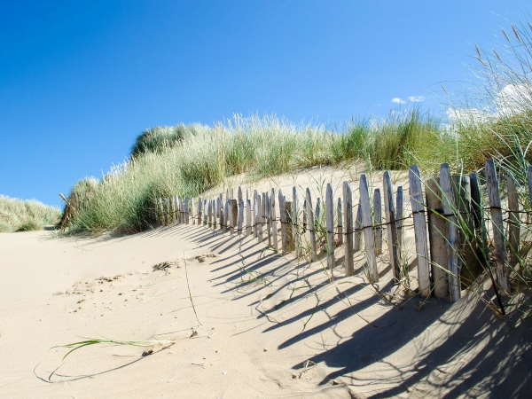 Beach Fence