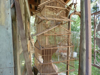 The finches have all flown from the bamboo bird cage
