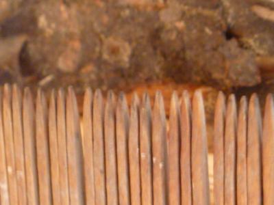 burned and charred ends