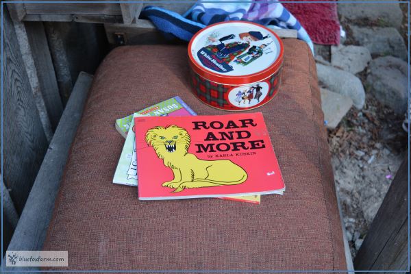 Seat cushion gleaned from the thrift store - the perfect place to read