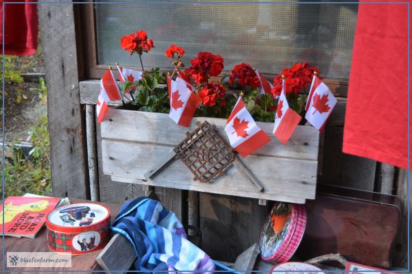 Red Geraniums in a rustic window box