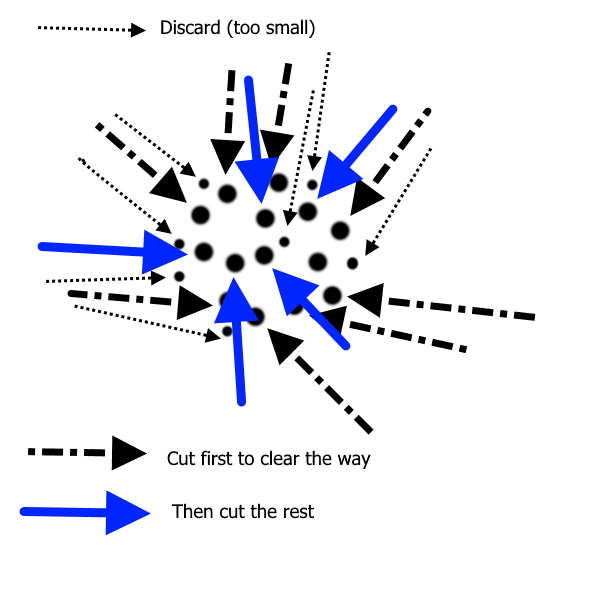 harvesting-twigs-for-crafts-diagram.jpg
