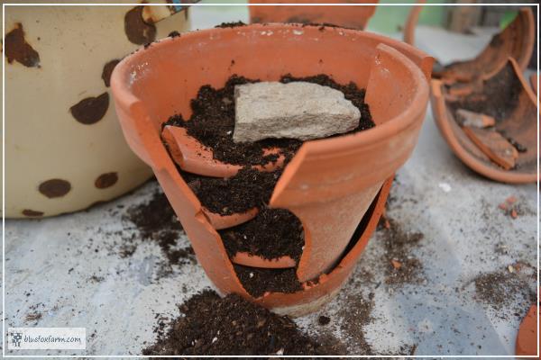 Tiny steps made from the edge of a clay pot are one of the first stages of a fairy garden