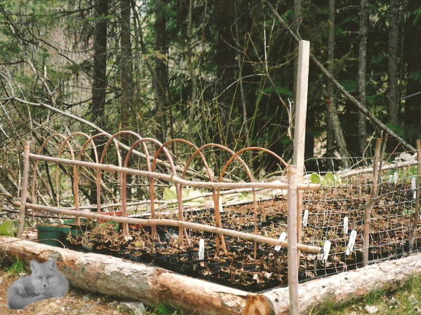 diy vegetable garden fence