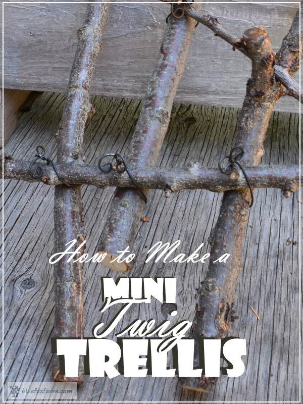 How to Make a Mini Twig Trellis