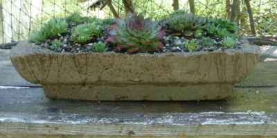 Hypertufa bird cage planter side view