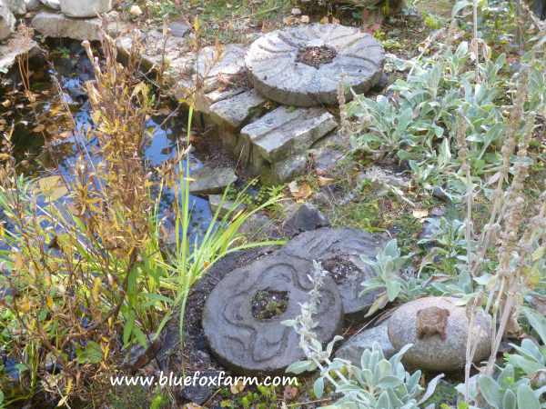 Planted and in place beside the pond...