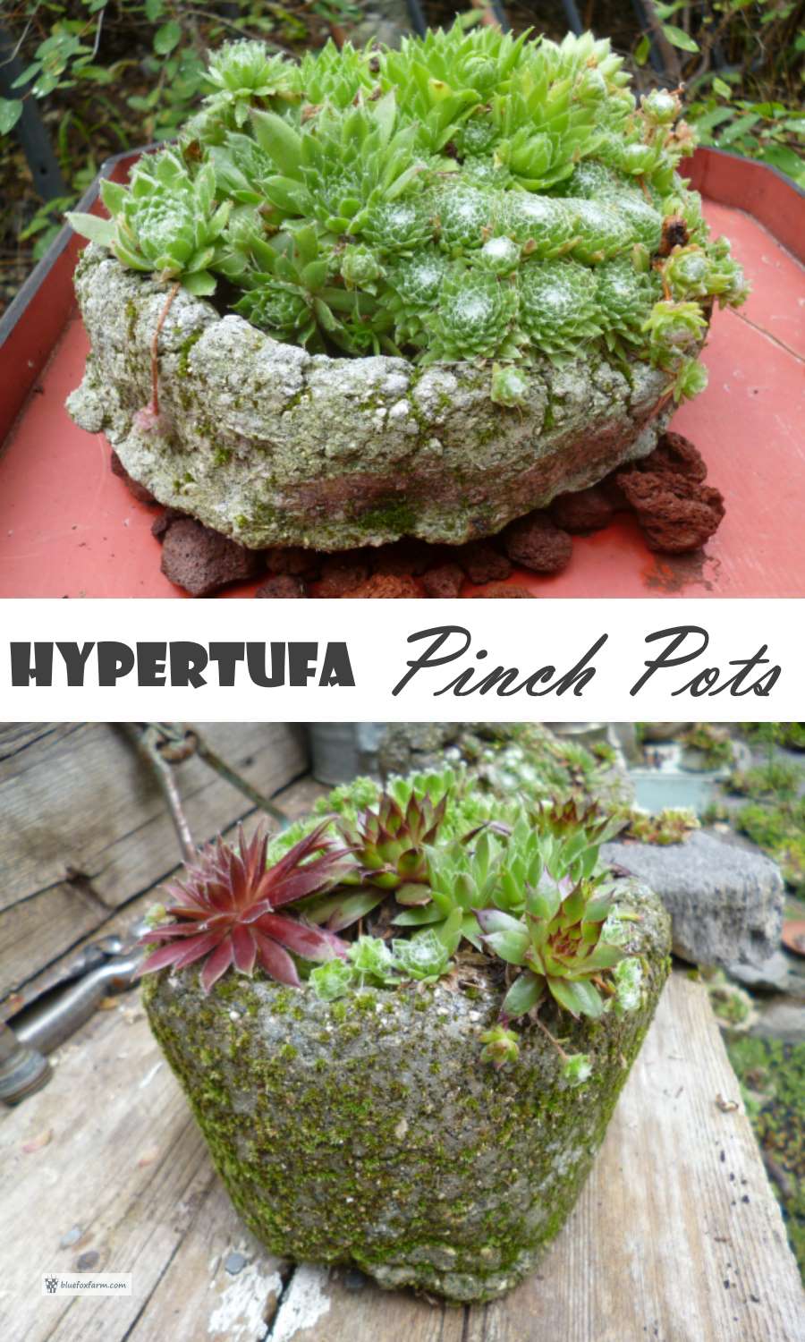 Hypertufa Pinch Pots