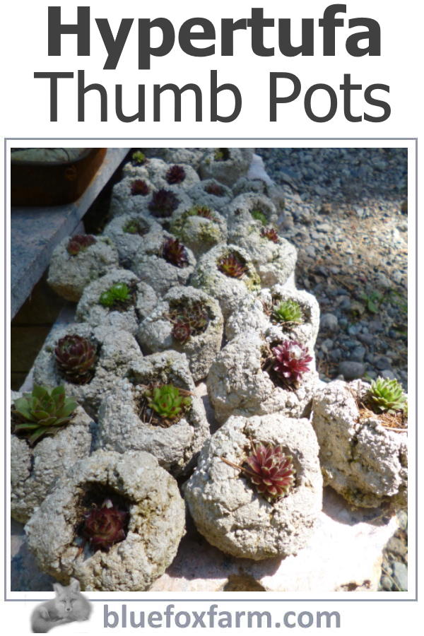 hypertufa-thumb-pots600x900.jpg