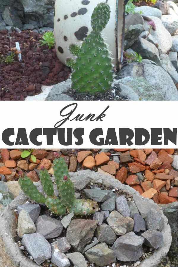 Boot Hill Cactus Garden