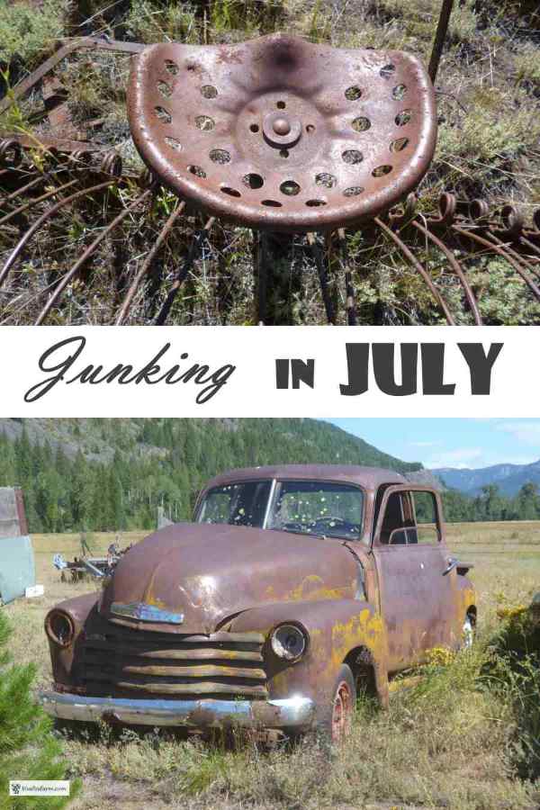 Junking in July - a quick road trip gleans a lot of potential garden art...
