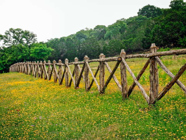 Criss-cross locust fence